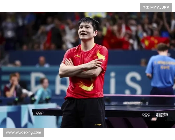 2017年乒乓球公开赛冠军 2017年乒乓球公开赛冠军