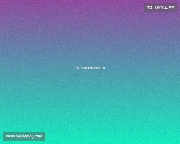 2017年搏击赛事统计—2021搏击